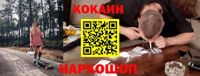 индика Сланцы