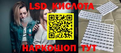 индика Сланцы