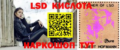индика Сланцы