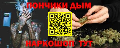 индика Сланцы