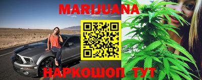 индика Сланцы