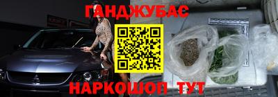 индика Сланцы