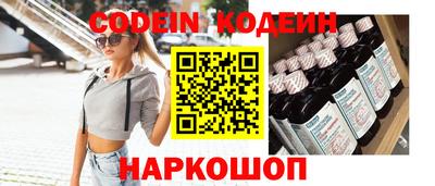 индика Сланцы