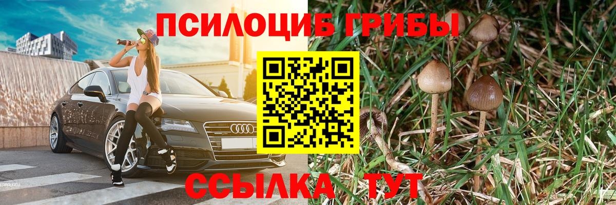 Галлюциногенные грибы Magic Shrooms  где купить наркотик  Рославль  Вход с VPN 