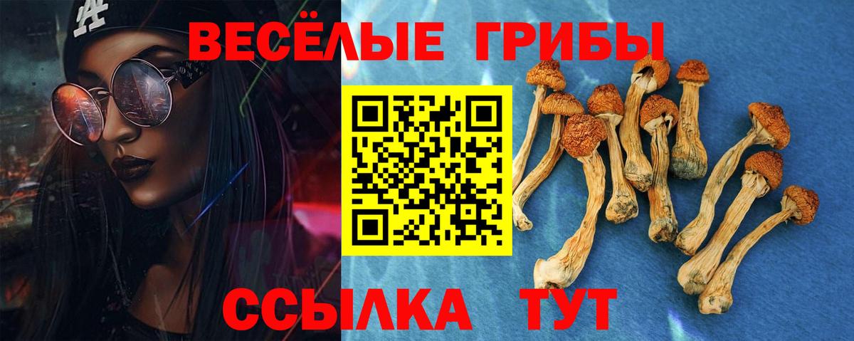 Псилоцибиновые грибы Psilocybe Рославль